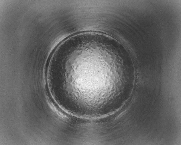 X0000078020892200610271231