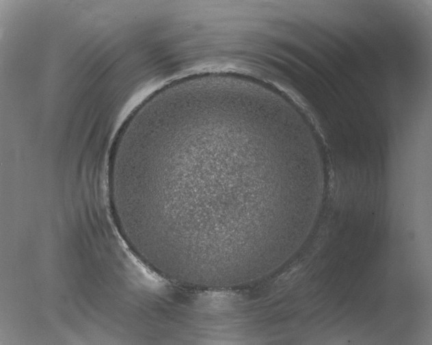 X0000078020894200610271231