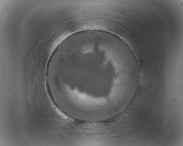 X0000078020895200610271231