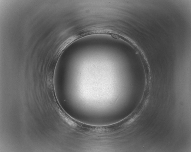 X0000078020897200610271231