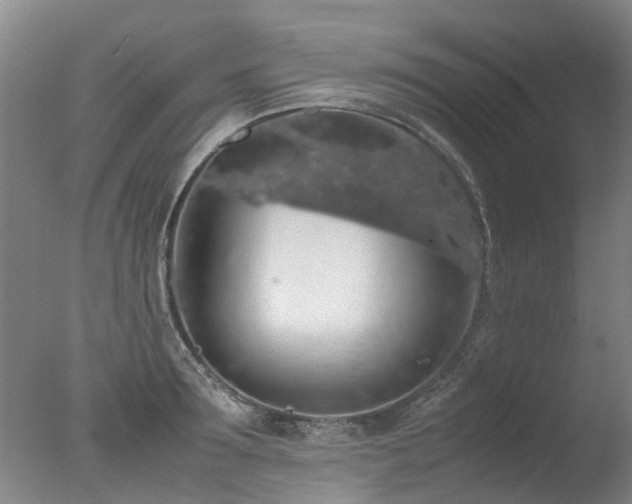 X0000078020899200610271231