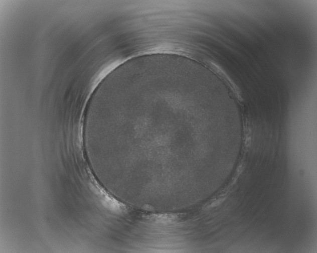 X0000078020900200610271231