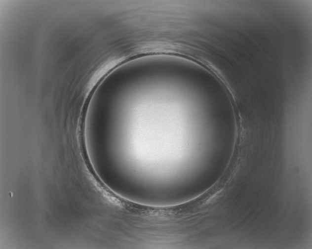 X0000078020901200610271231