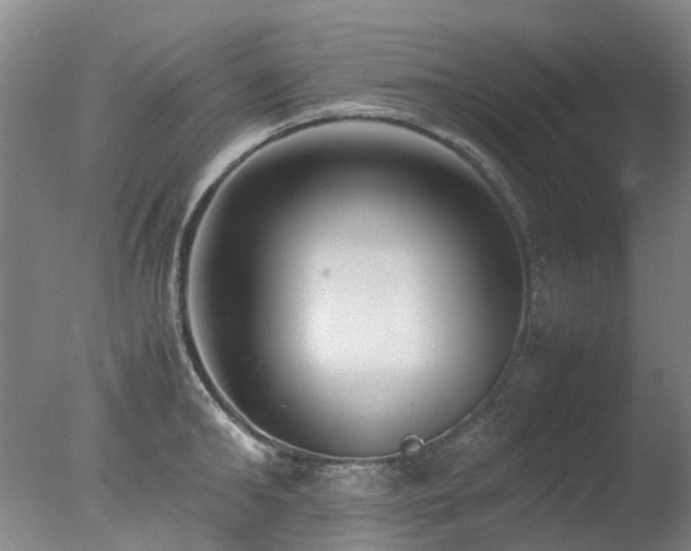 X0000078020902200610271231