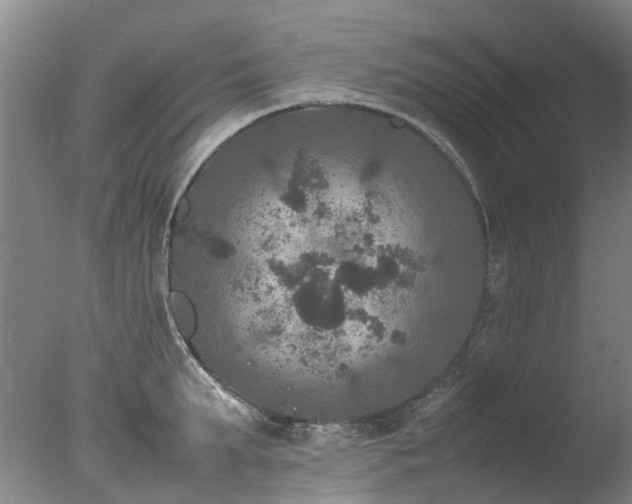 X0000078020903200610271231