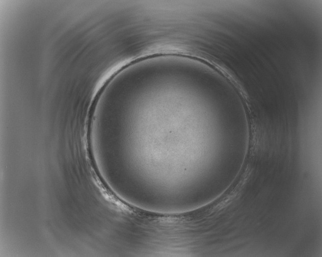 X0000078020904200610271231