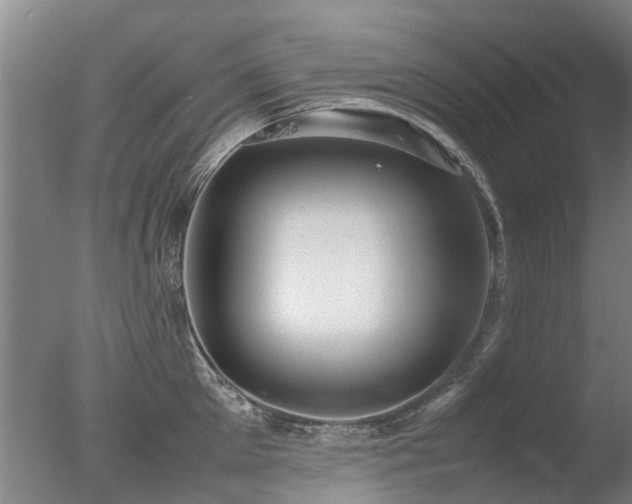 X0000078020905200610271231