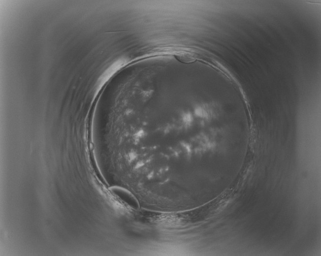 X0000078020907200610271231