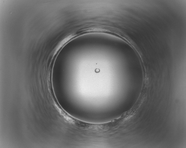 X0000078020909200610271230