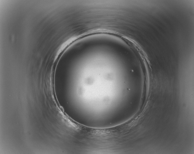 X0000078020910200610271230