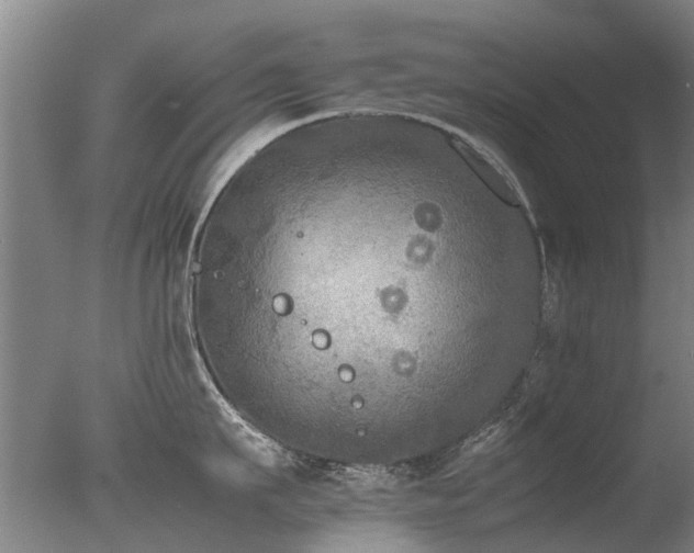 X0000078020911200610271230