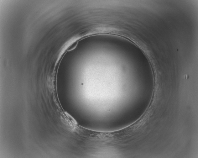 X0000078020912200610271230