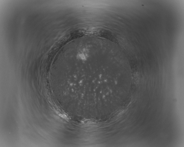 X0000078020913200610271230