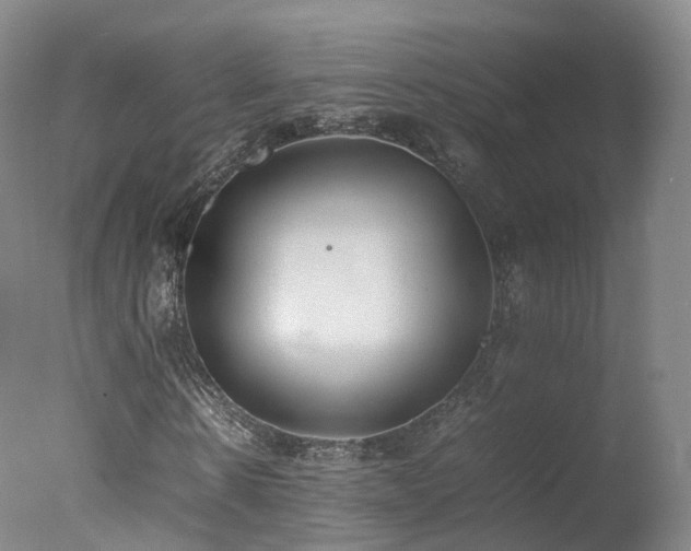 X0000078020914200610271230