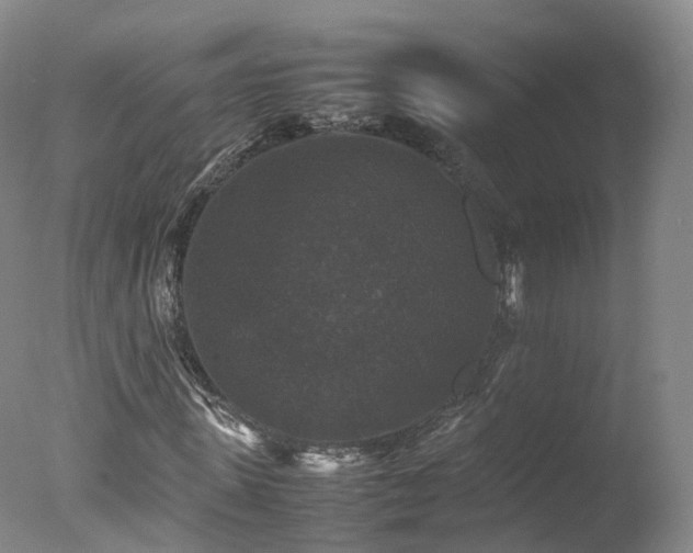 X0000078020915200610271230