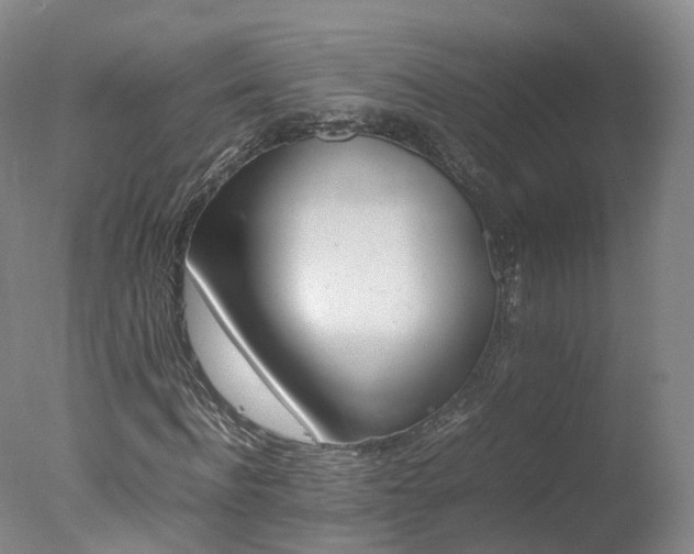 X0000078020916200610271230