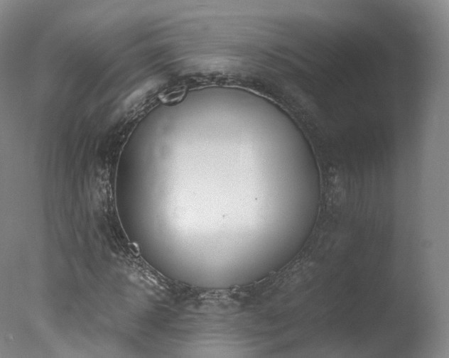 X0000078020918200610271230