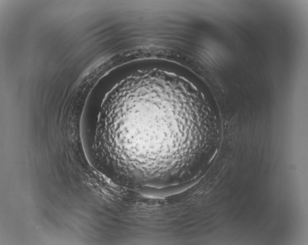 X0000078020919200610271230