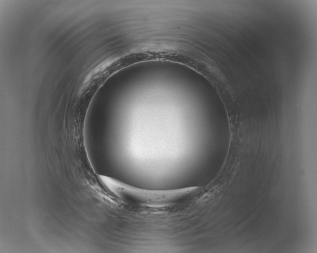 X0000078020920200610271230