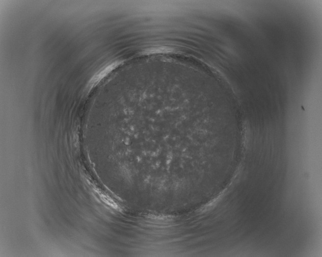 X0000078020921200610271230