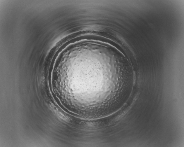 X0000078020923200610271230