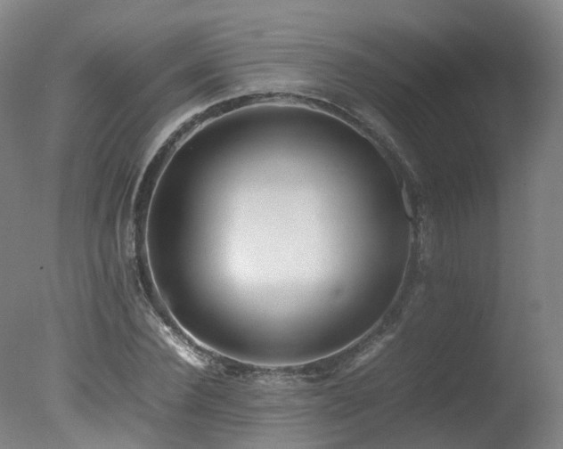 X0000078020924200610271230