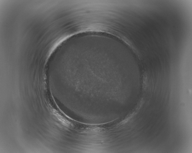 X0000078020926200610271230