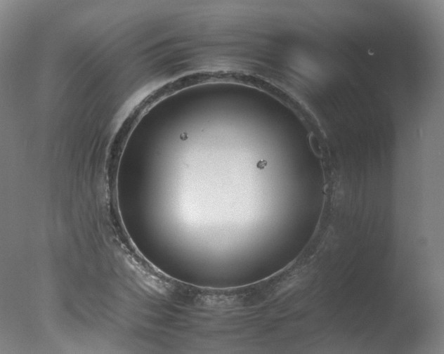 X0000078020927200610271230