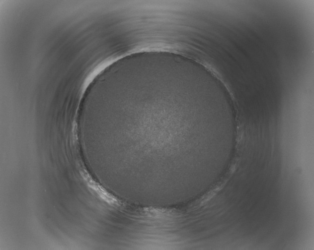 X0000078020928200610271230