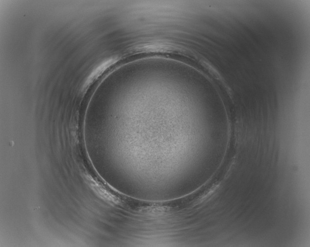 X0000078020930200610271230