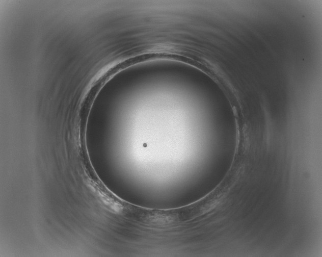 X0000078020931200610271230