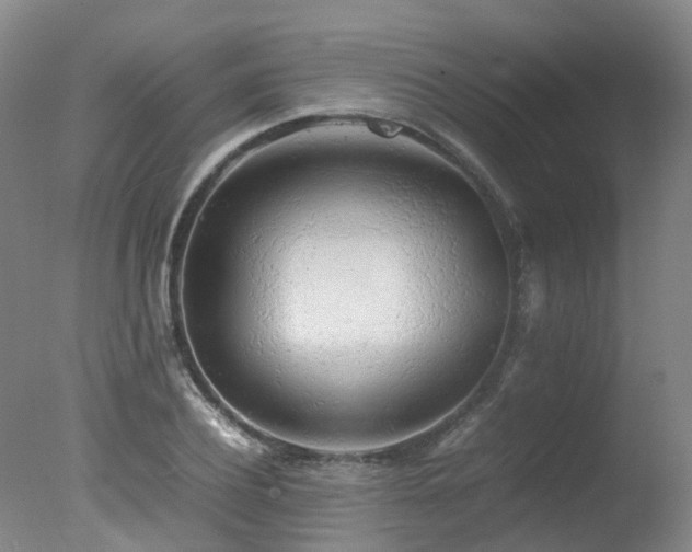 X0000078020932200610271230