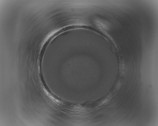 X0000078020935200610271230