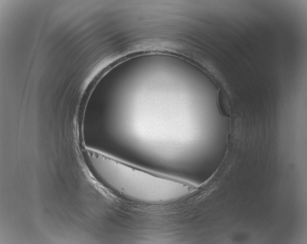 X0000078020936200610271230