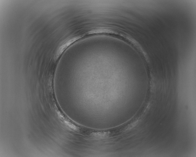 X0000078020937200610271230