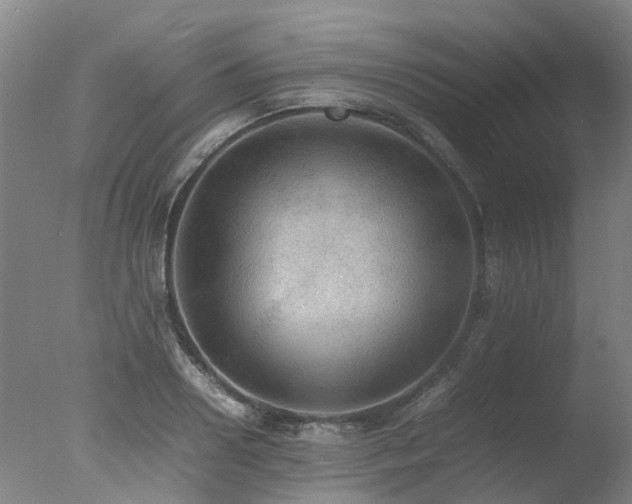 X0000078020938200610271230