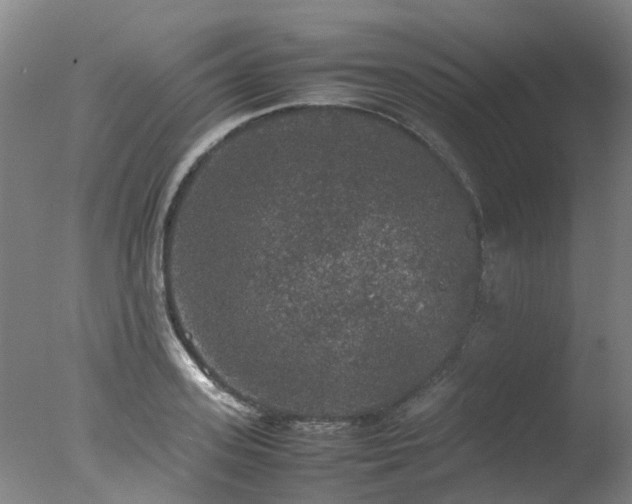 X0000078020939200610271230