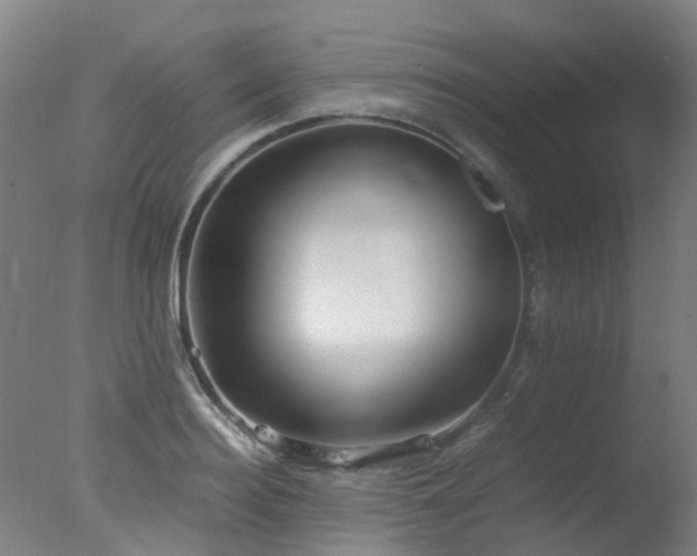 X0000078020940200610271230