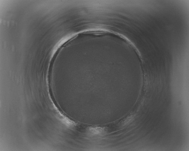 X0000078020943200610271230