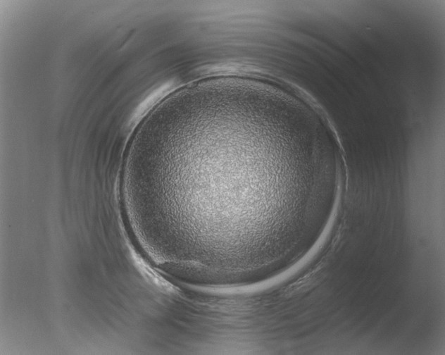 X0000078020946200610271230