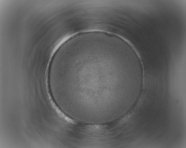 X0000078020949200610271230