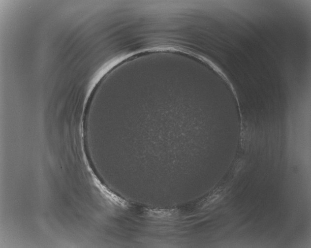 X0000078020951200610271230