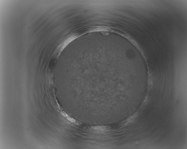 X0000078020953200610271230