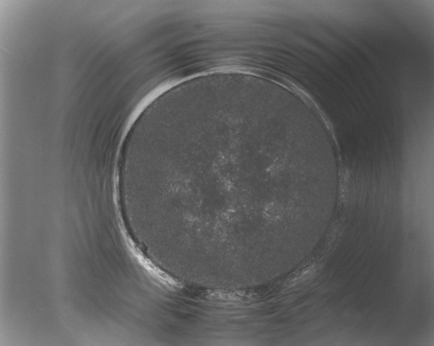 X0000078020955200610271230