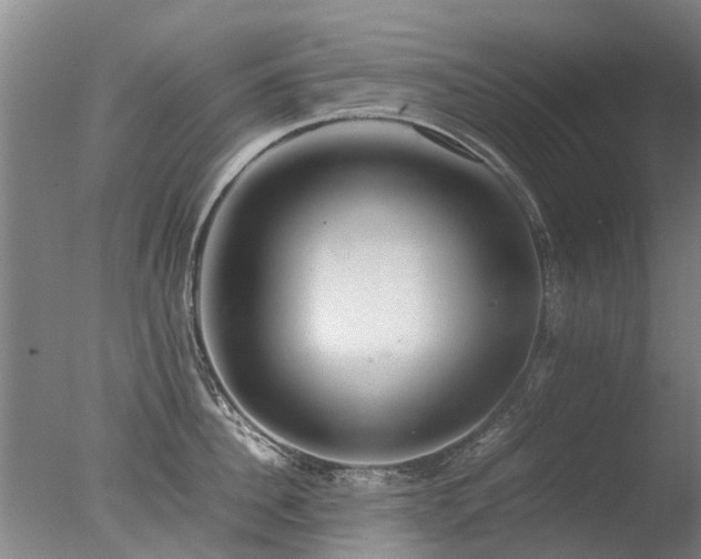 X0000078020956200610271230