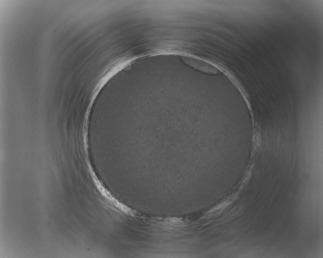 X0000078020957200610271230