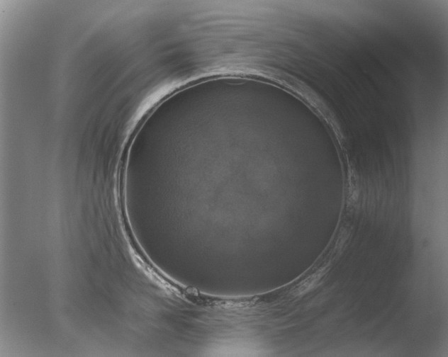 X0000078020958200610271230