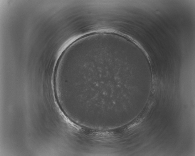 X0000078020959200610271230