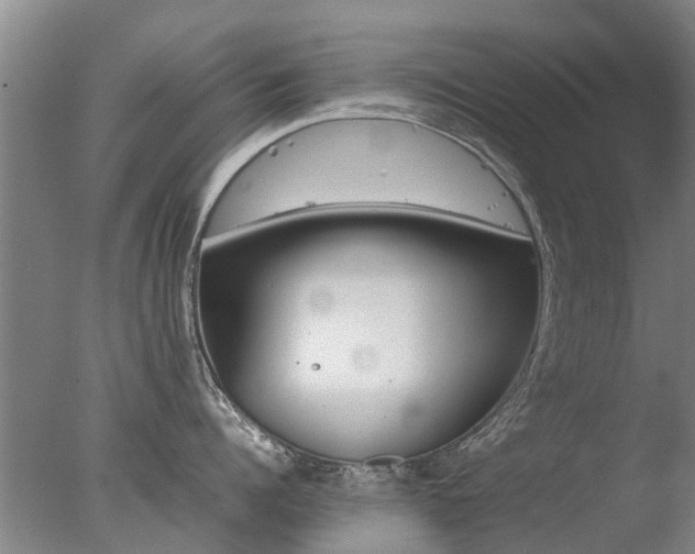 X0000078020960200610271230