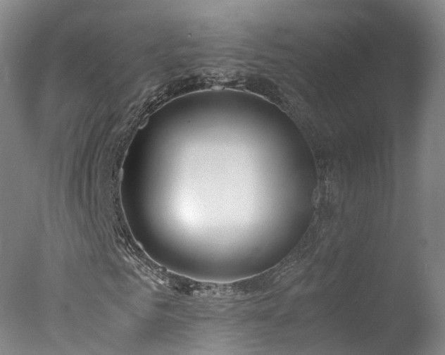 X0000078020961200610271230